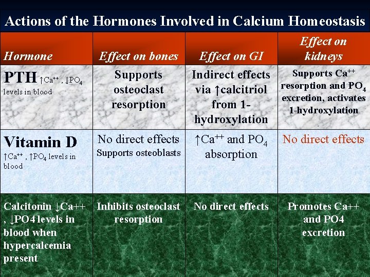 Actions of the Hormones Involved in Calcium Homeostasis Hormone PTH ↑Ca ++ , ↓PO