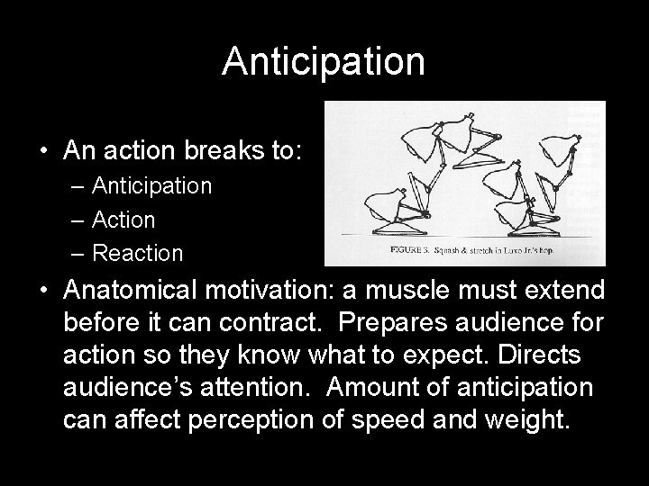 Anticipation • An action breaks to: – Anticipation – Action – Reaction • Anatomical