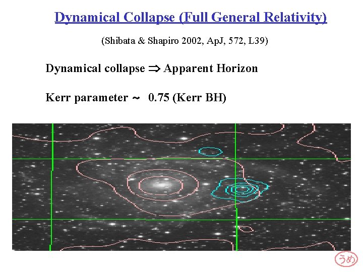 Dynamical Collapse (Full General Relativity) (Shibata & Shapiro 2002, Ap. J, 572, L 39)