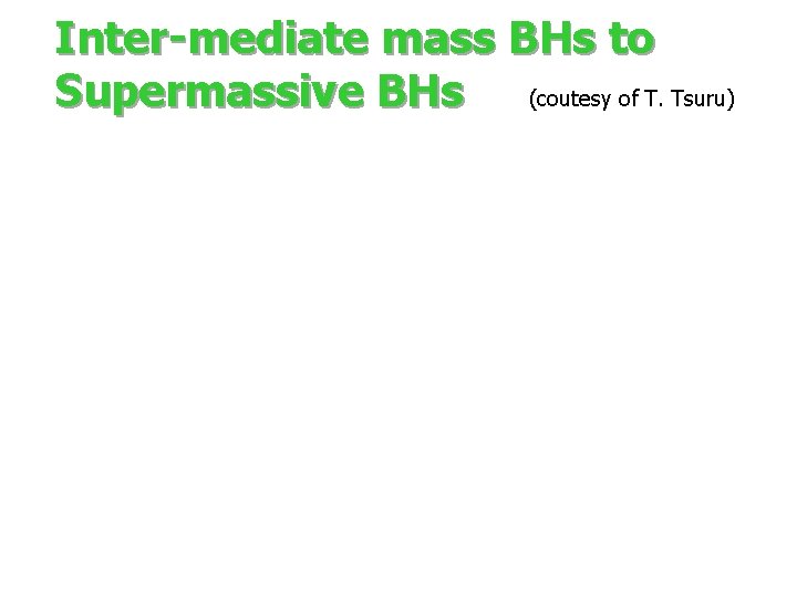 Inter-mediate mass BHs to Supermassive BHs (coutesy of T. Tsuru) 