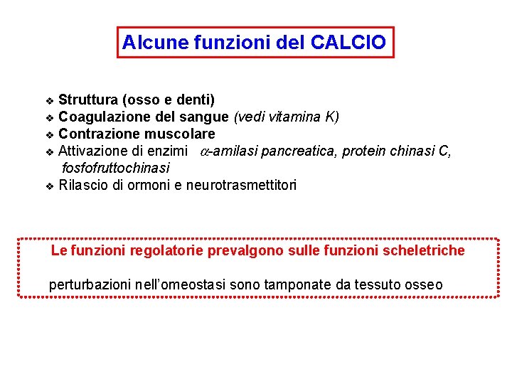 Alcune funzioni del CALCIO Struttura (osso e denti) v Coagulazione del sangue (vedi vitamina