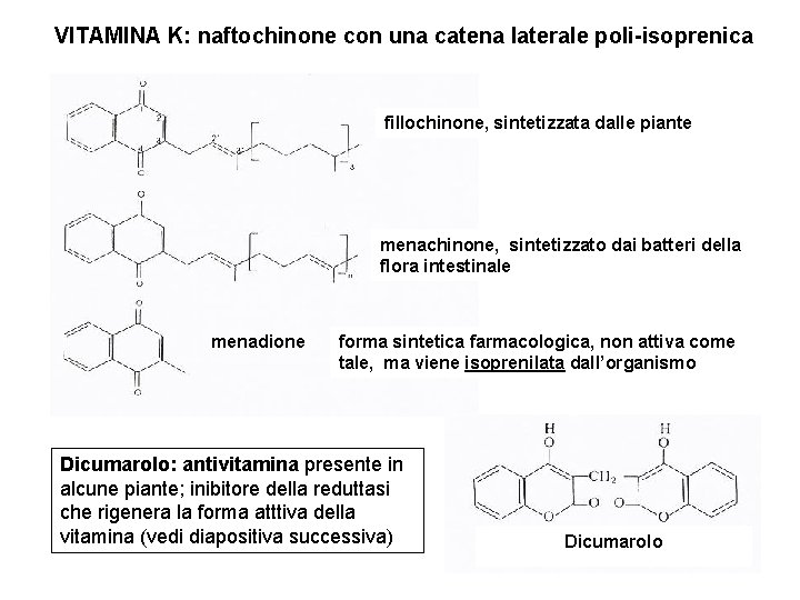 VITAMINA K: naftochinone con una catena laterale poli-isoprenica fillochinone, sintetizzata dalle piante menachinone, sintetizzato