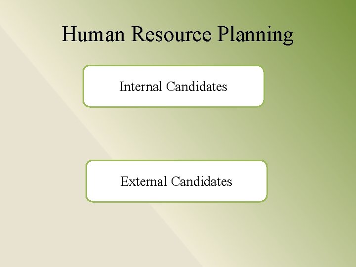 Human Resource Planning Internal Candidates External Candidates 