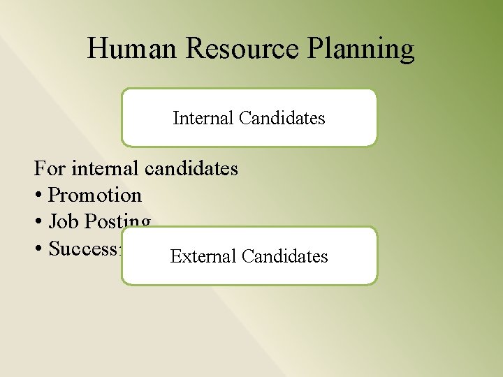 Human Resource Planning Internal Candidates For internal candidates • Promotion • Job Posting •