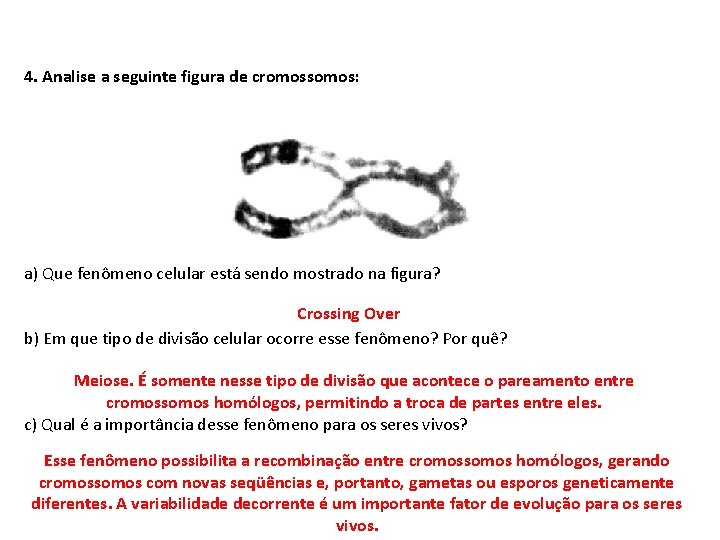 4. Analise a seguinte figura de cromossomos: INTERFASE QUE PRECEDE A DIVISÃO a) Que