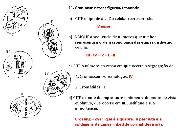 11. Com base nessas figuras, responda: a) CITE o tipo de divisão celular representado.