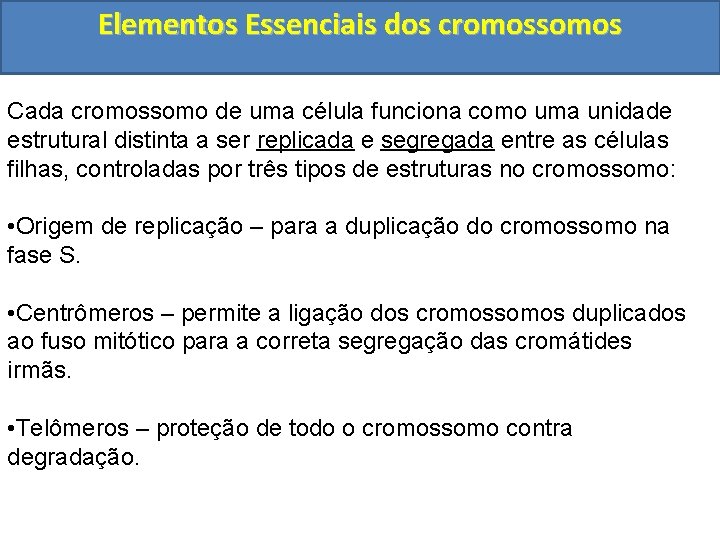 Elementos Essenciais dos cromossomos Cada cromossomo de uma célula funciona como uma unidade estrutural
