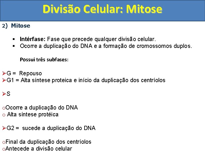 Divisão Celular: Mitose 2) Mitose § Intérfase: Fase que precede qualquer divisão celular. §
