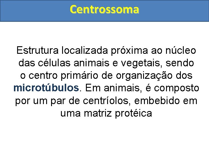 Centrossoma Estrutura localizada próxima ao núcleo das células animais e vegetais, sendo o centro