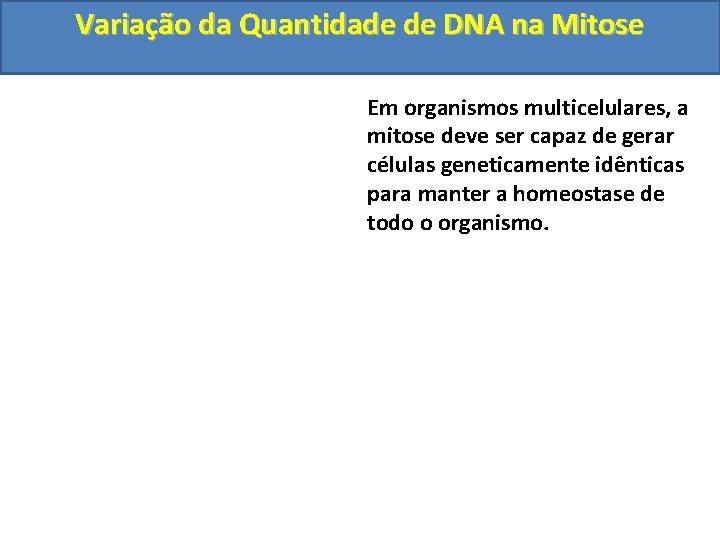 Variação da Quantidade de DNA na Mitose Em organismos multicelulares, a mitose deve ser