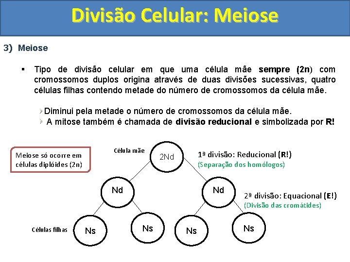 Divisão Celular: Meiose 3) Meiose § Tipo de divisão celular em que uma célula