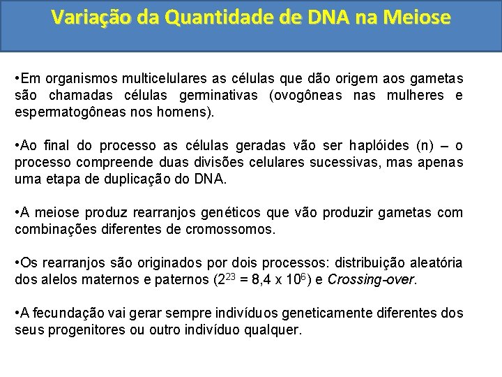 Variação da Quantidade de DNA na Meiose • Em organismos multicelulares as células que