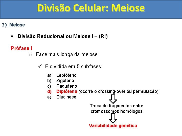 Divisão Celular: Meiose 3) Meiose § Divisão Reducional ou Meiose I – (R!) Prófase