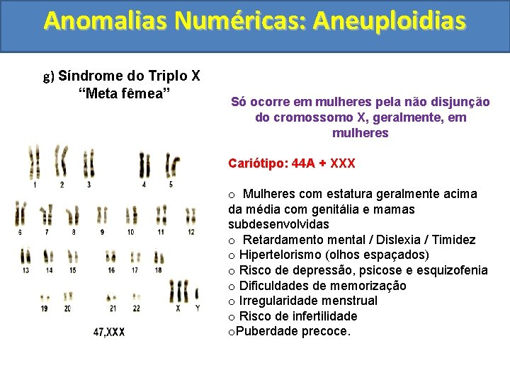 Anomalias Numéricas: Aneuploidias g) Síndrome do Triplo X “Meta fêmea” Só ocorre em mulheres