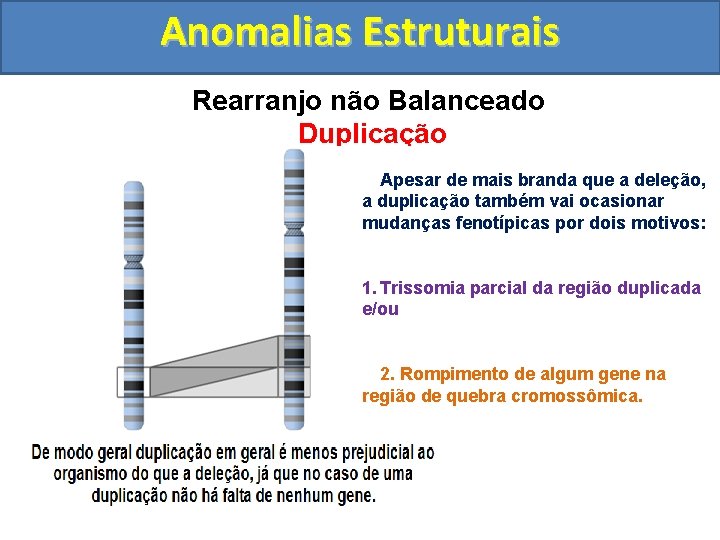 Anomalias Estruturais Rearranjo não Balanceado Duplicação Apesar de mais branda que a deleção, a