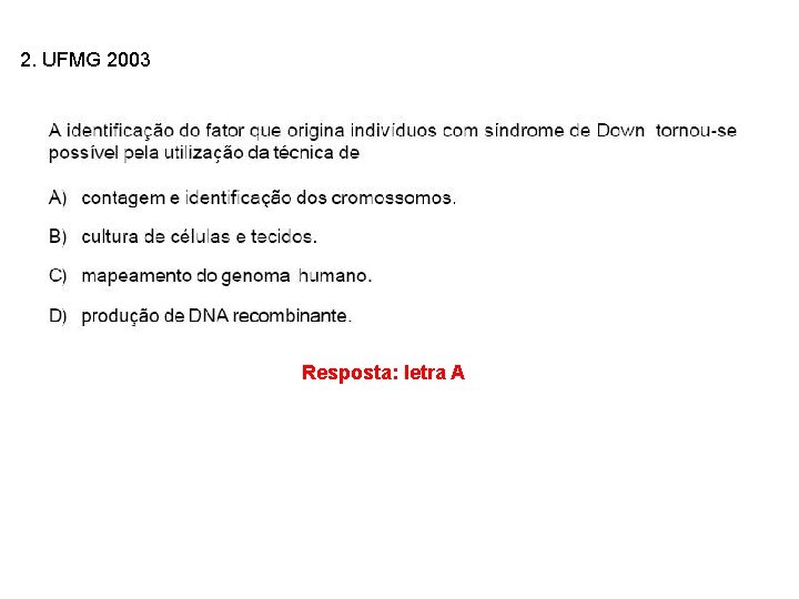 2. UFMG 2003 INTERFASE QUE PRECEDE A DIVISÃO Resposta: letra A 