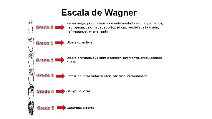 Escala de Wagner 