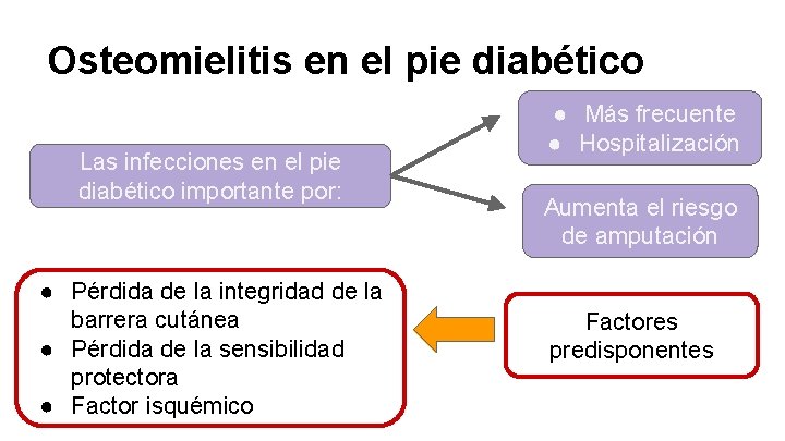 Osteomielitis en el pie diabético Las infecciones en el pie diabético importante por: ●