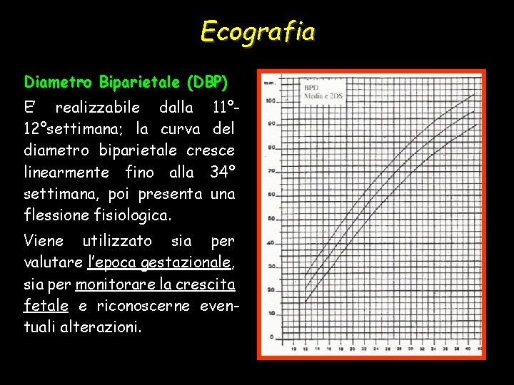 Ecografia Diametro Biparietale (DBP) E’ realizzabile dalla 11° 12°settimana; la curva del diametro biparietale
