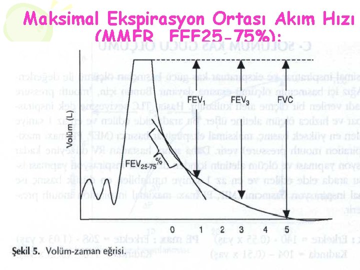 Maksimal Ekspirasyon Ortası Akım Hızı (MMFR, FEF 25 -75%): Zorlu ekspirasyon ile volümlerin %