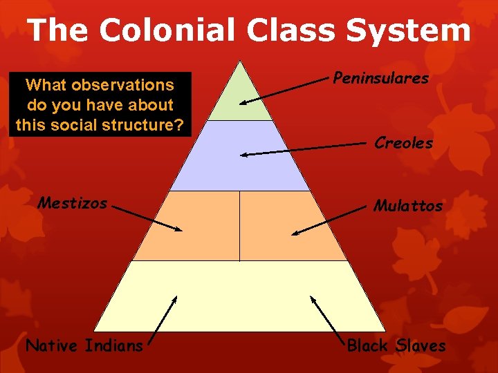 The Colonial Class System What observations do you have about this social structure? Mestizos