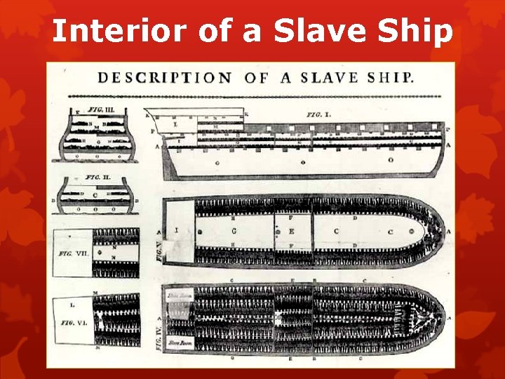 Interior of a Slave Ship 