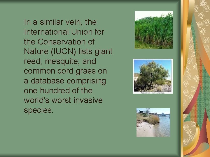 In a similar vein, the International Union for the Conservation of Nature (IUCN) lists