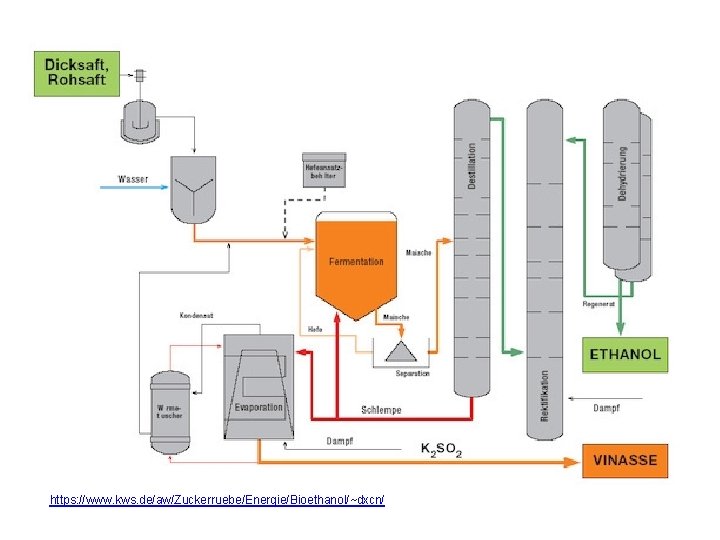 https: //www. kws. de/aw/Zuckerruebe/Energie/Bioethanol/~dxcn/ 