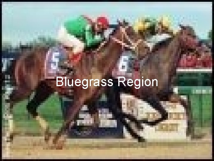 Bluegrass Region 