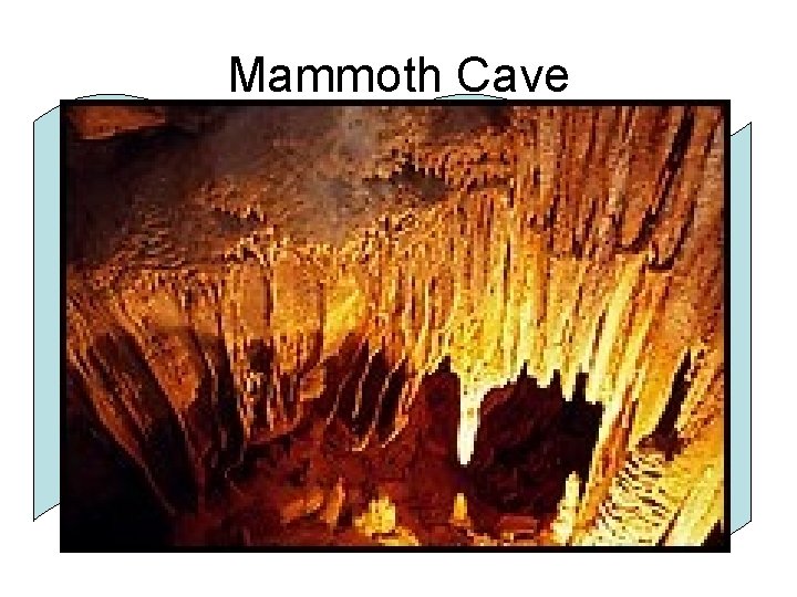 Mammoth Cave • Mammoth Cave is the world’s longest known cave system. In the