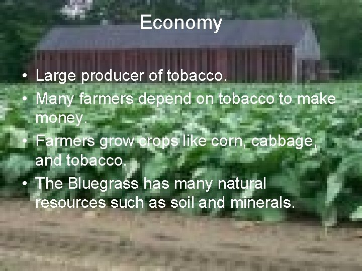 Economy • Large producer of tobacco. • Many farmers depend on tobacco to make