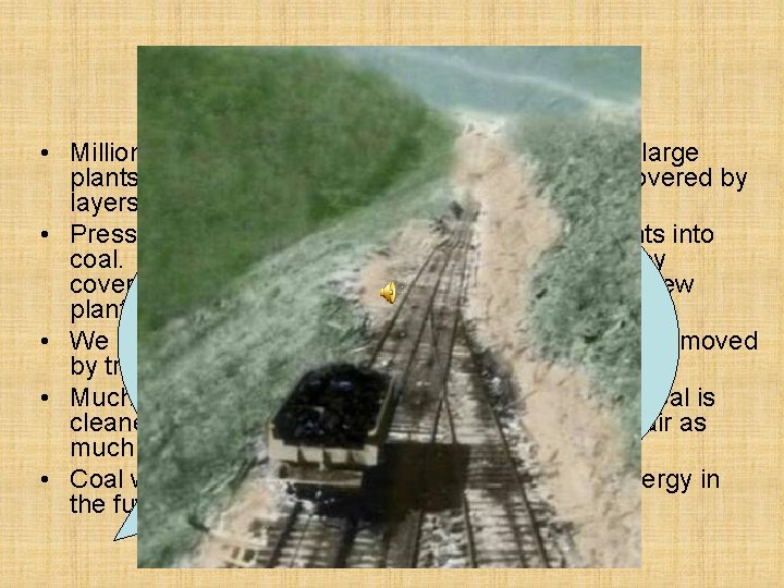 History (Coal) • Millions of years ago, the land was a swamp with large