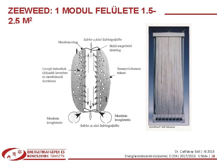 ZEEWEED: 1 MODUL FELÜLETE 1. 52. 5 M 2 Dr. Cséfalvay Edit | ©