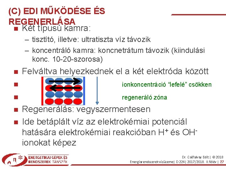 (C) EDI MŰKÖDÉSE ÉS REGENERLÁSA Két típusú kamra: – tisztító, illetve: ultratiszta víz távozik