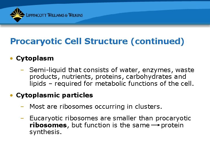 Procaryotic Cell Structure (continued) • Cytoplasm – Semi-liquid that consists of water, enzymes, waste