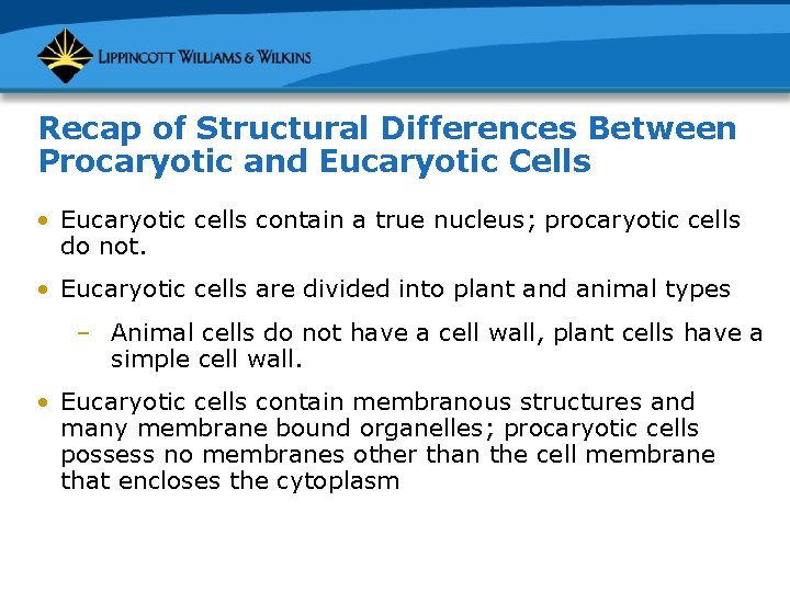 Recap of Structural Differences Between Procaryotic and Eucaryotic Cells • Eucaryotic cells contain a