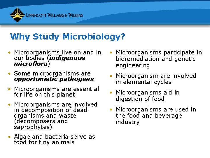 Why Study Microbiology? • Microorganisms live on and in our bodies (indigenous microflora) •