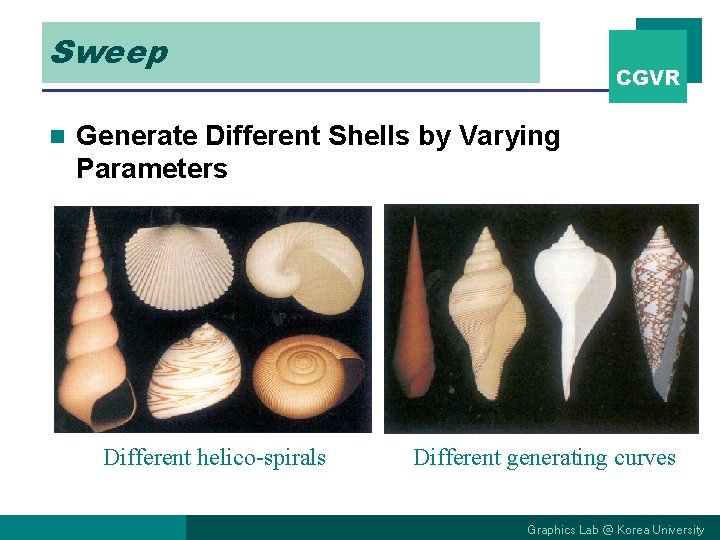 Sweep n CGVR Generate Different Shells by Varying Parameters Different helico-spirals Different generating curves