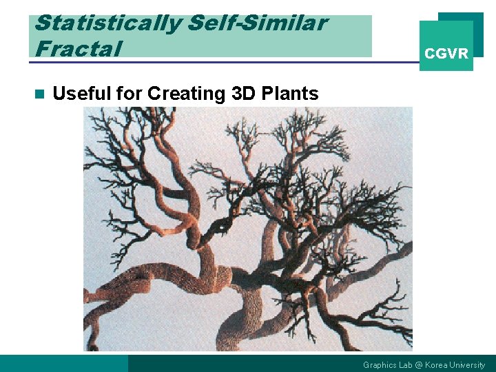 Statistically Self-Similar Fractal n CGVR Useful for Creating 3 D Plants Graphics Lab @