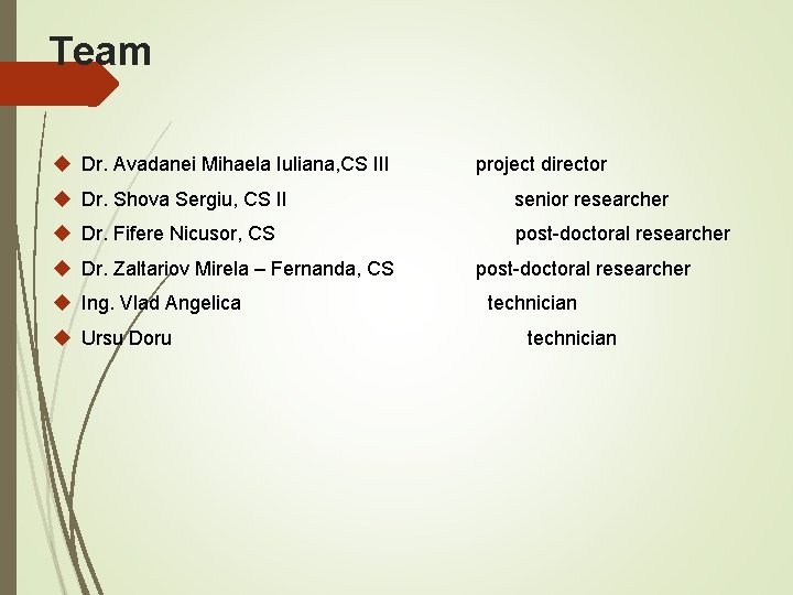 Team Dr. Avadanei Mihaela Iuliana, CS III project director Dr. Shova Sergiu, CS II