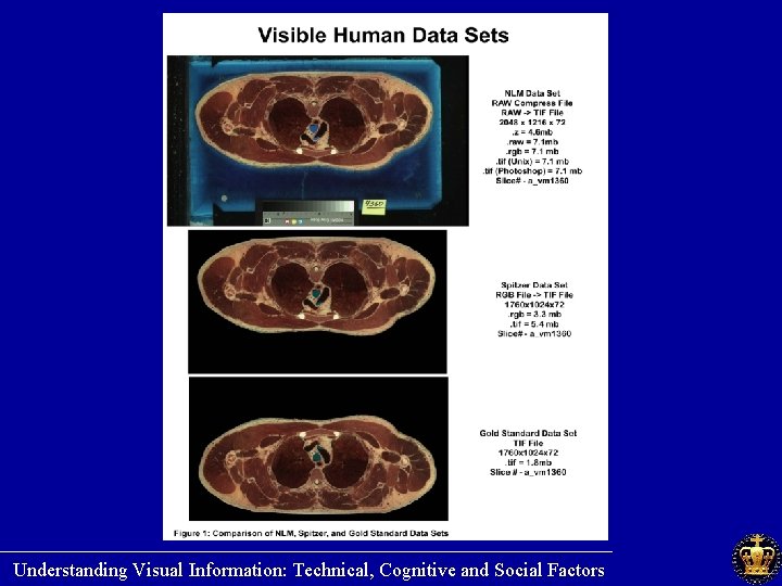 ________________________ Understanding Visual Information: Technical, Cognitive and Social Factors 