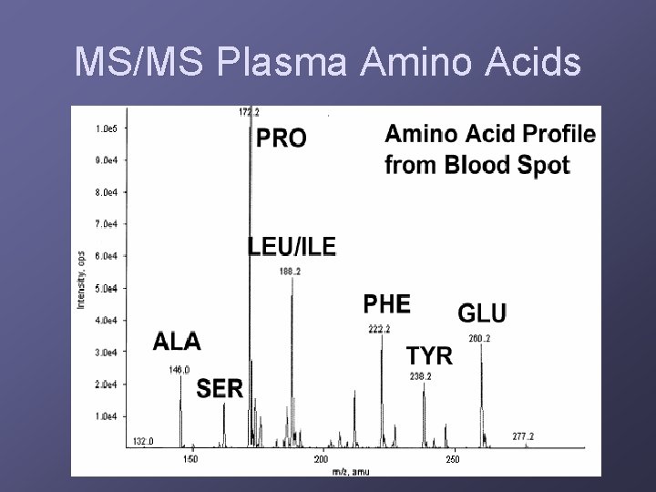 MS/MS Plasma Amino Acids 