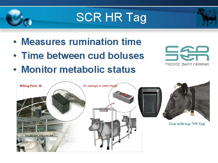 SCR HR Tag • • • Measures rumination time Time between cud boluses Monitor