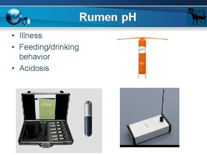 Rumen p. H • Illness • Feeding/drinking behavior • Acidosis 
