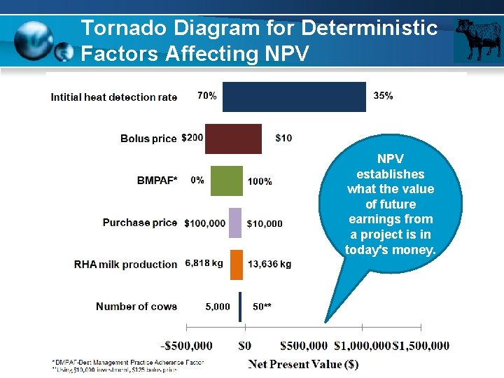 Tornado Diagram for Deterministic Factors Affecting NPV establishes what the value of future earnings