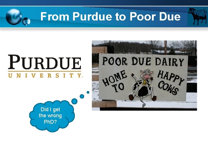 From Purdue to Poor Due Did I get the wrong Ph. D? 