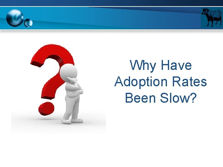 Why Have Adoption Rates Been Slow? 