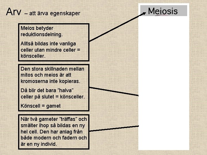 Arv – att ärva egenskaper Meios betyder reduktionsdelning. Alltså bildas inte vanliga celler utan