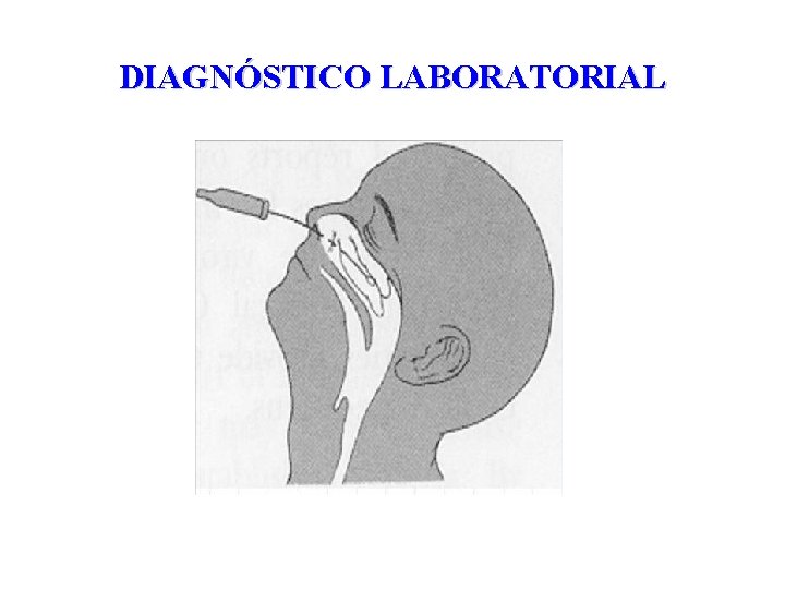 DIAGNÓSTICO LABORATORIAL 