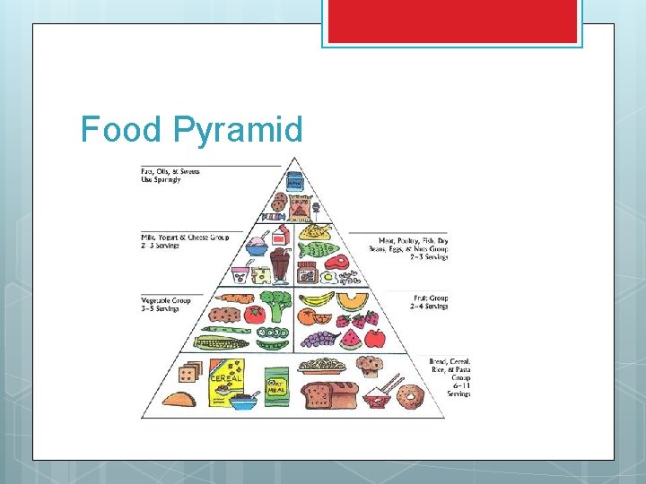 Food Pyramid 